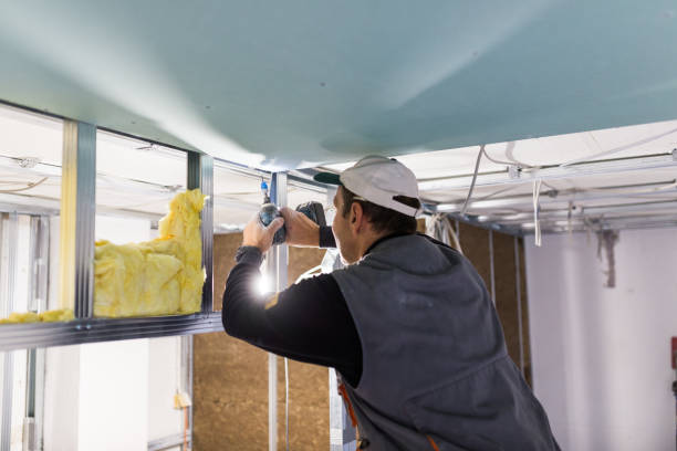 Best Commercial Insulation Services  in Collinsville, TX