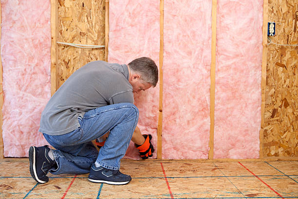 Best Eco-Friendly or Green Insulation Solutions  in Collinsville, TX